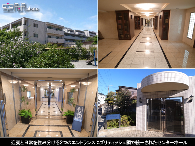 アデニウム菊名の画像