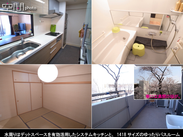 アデニウム菊名の画像