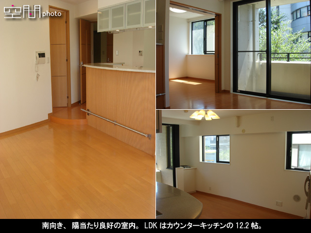 エルズ武蔵小杉の画像