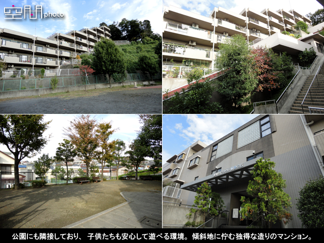 藤和ライブタウン綱島の丘の画像