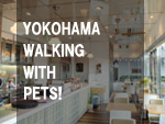 vol.4　Yokohama　walking　with　pets!
